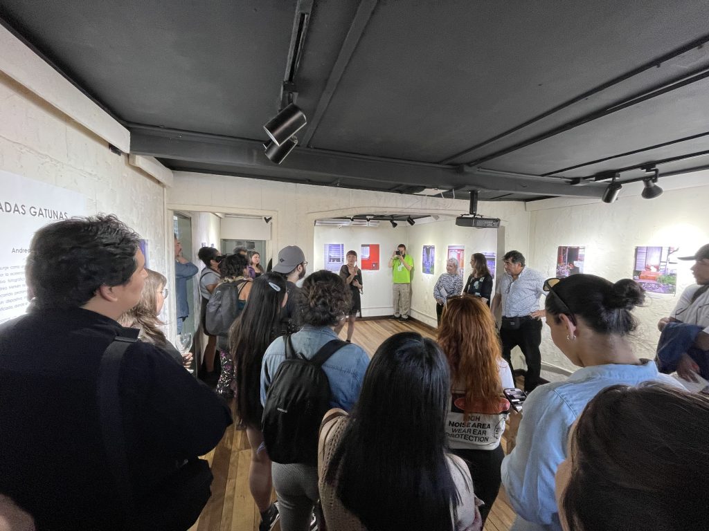 Galería de Arte Panichini - Miradas Gatunas