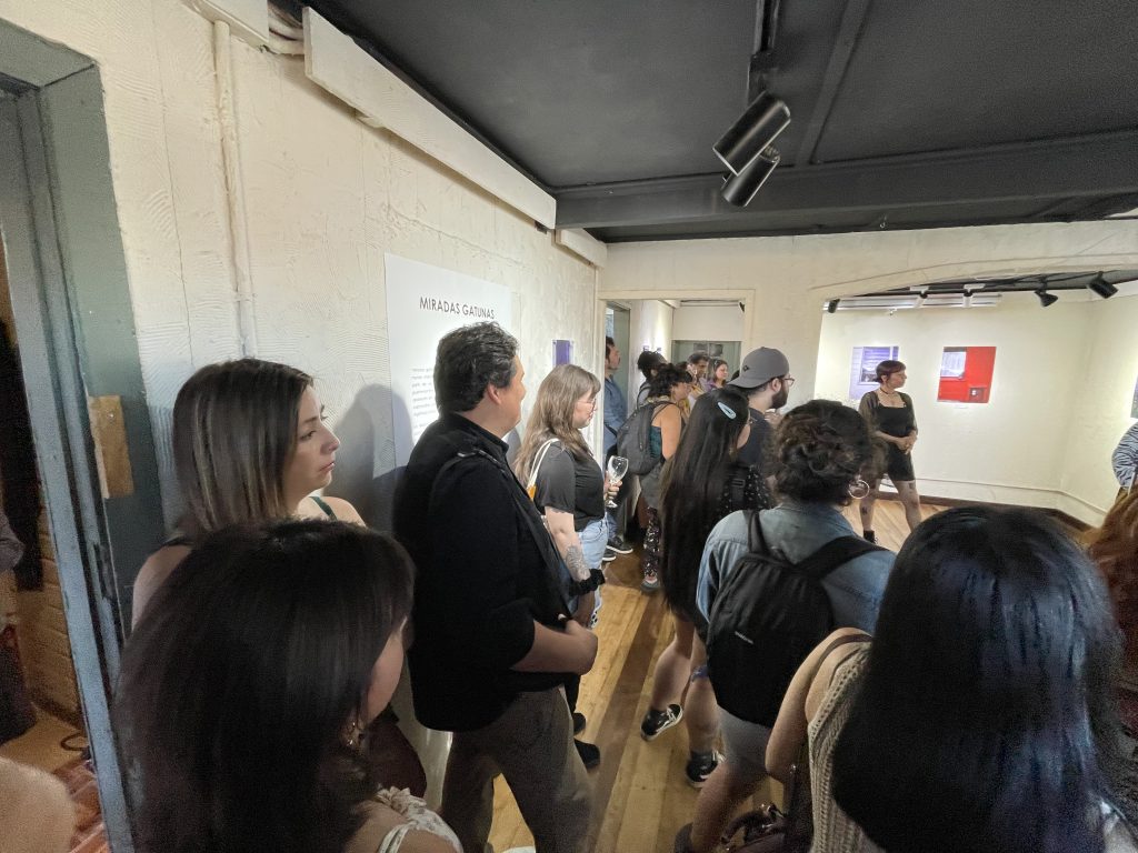 Galería de Arte Panichini - Miradas Gatunas