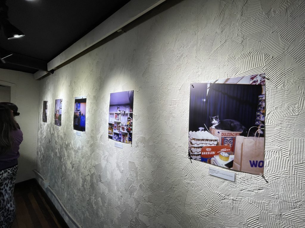 Galería de Arte Panichini - Miradas Gatunas