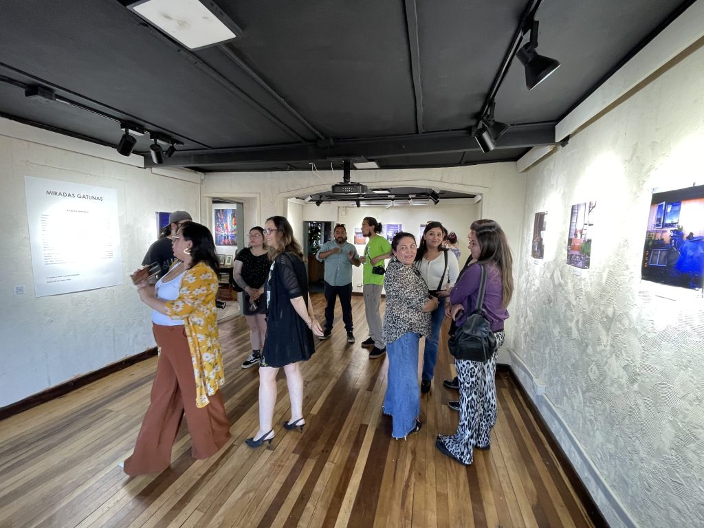 Galería de Arte Panichini - Miradas Gatunas