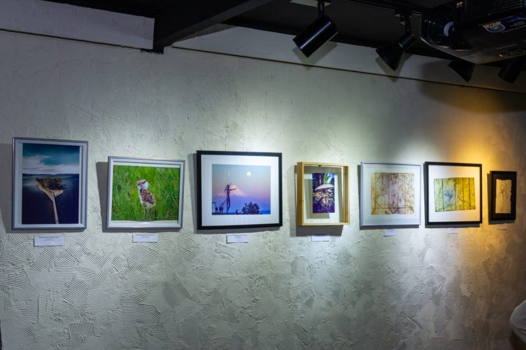 Galería de Arte Panichini